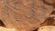 Scientists find ancient life-size animal rock carvings in the Saudi Arabian desert