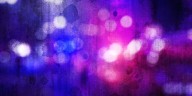 Iowa City Animal Services investigates dog bite