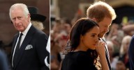 King Charles Schedules Zoom With Meghan and Grandkids