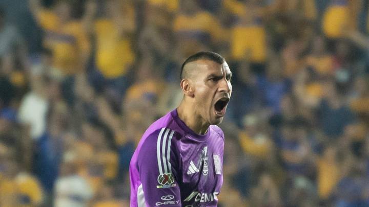 Gallos vs Tigres: Horario, TV, Canal, cómo y dónde ver la jornada 11 de la Liga MX