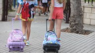 El SEPE busca personal para trabajar en colegios en Alicante: 4 ofertas y 7 puestos de trabajo