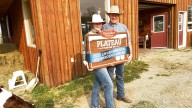 Plateau Cattle Co Wins Alberta Beef Environmental Stewardship Award