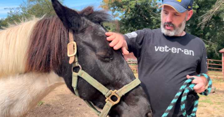 Healing through horses: Safe Haven Equine Warriors supports veterans and families