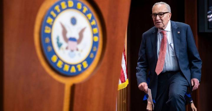 ‘It’s a new world with Trump’: Inside Democrats’ shutdown gamble