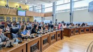 Cárcel por ingresar ganado enfermo a Chihuahua, aprueban diputados