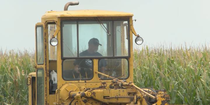 Nebraska farmers brace for harvest as tariffs and low prices hit hard