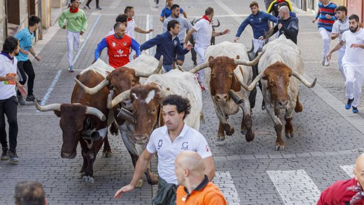 Complicado segundo encierro en Cuéllar: solo cuatro toros completan el recorrido