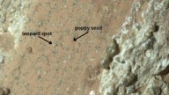 Perseverance Rover Finds Potential Sign of Ancient Life in Martian Rock