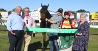 Race honour for McQuillans and farewell to a pair of stallions