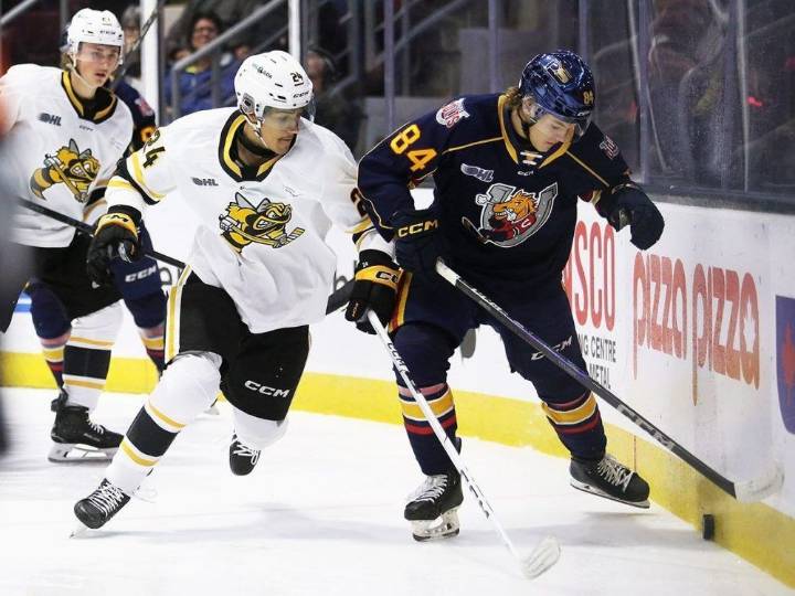 Winless Sarnia Sting working on discipline