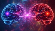 El cerebro de los extremistas políticos es casi idéntico