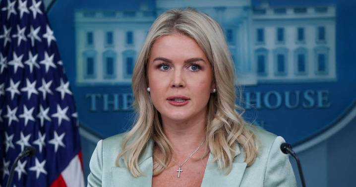 Leavitt Cornered on Exactly What Trump’s Epstein ‘Hoax’ Means