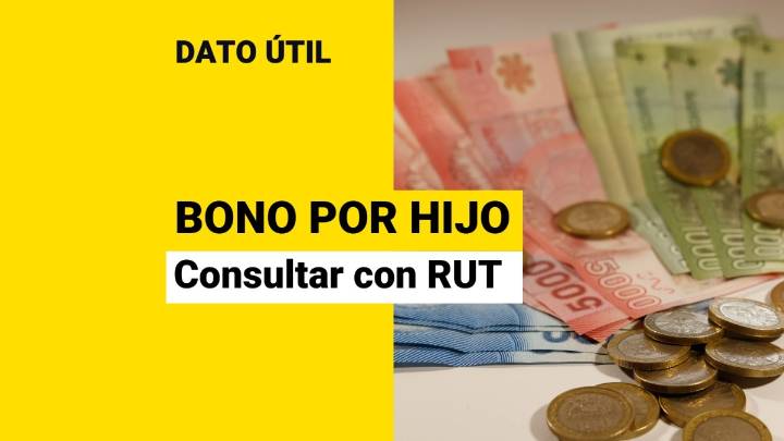 Bono por hijo: Revisa con tu RUT si te corresponde