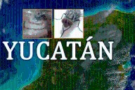El gusano barrenador del ganado afecta al 60% de Yucatán: Así se extendió en seis meses