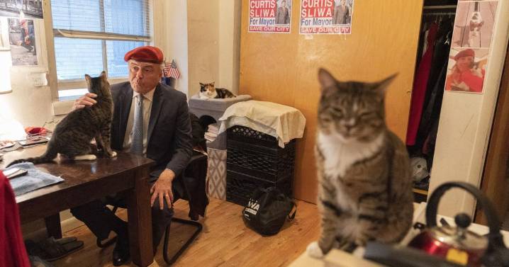 Trump dismisses cat-loving NYC Republican candidate for mayor as 'not exactly prime time'