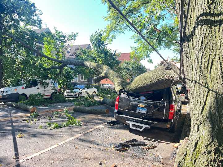 Massive tree branch snaps off, damages vehicles parked on Staten Island street