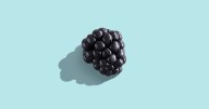 11 Foods That Fight Inflammation, According To Dietitians