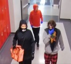 Three Suspects Involved in Theft at New Palestine High School