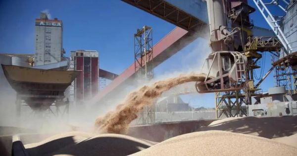 El Gobierno eliminó las retenciones a todos los granos hasta fines de octubre