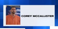 Man arrested for cutting down phone lines