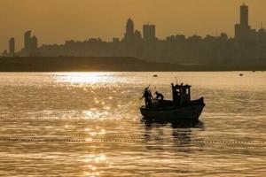 WTO fishing deal: the net results
