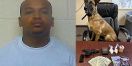 Craven County K-9 helps with search that finds drugs & gun