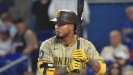 Luis Arráez alcanzó los 1.000 hits en las Grandes Ligas