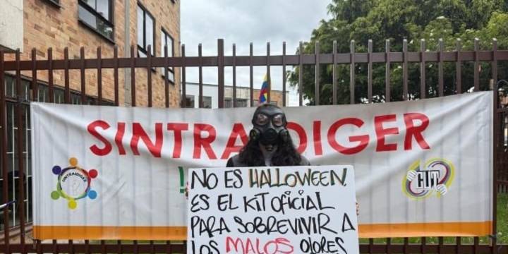 Ministerio de Trabajo iniciará inspección en el Idiger por denuncias de insalubridad: empleados trabajan entre humedad y excrementos de palomas