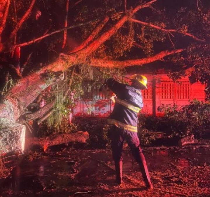 Cuerpo Oficial de Bomberos atiende más de 20 emergencias reportadas por intensas lluvias