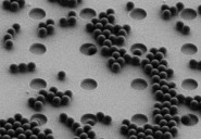 New type of ‘sieve’ detects the smallest pieces of plastic in the environment more easily than ever before