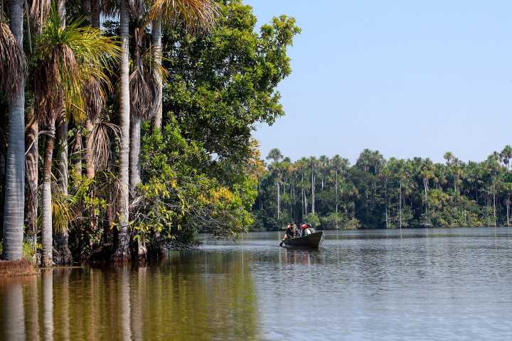 Edén amazónico: descubre claves de la Reserva Nacional Tambopata en su 25 aniversario