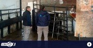 Descubren un matadero ilegal en el interior de Córdoba: secuestraron cien kilos de carne