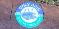 FIRST ALERT WEATHER: City of Republic reminds residents not to dump fall leaves in storm drains