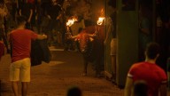 Una asociación animalista pide investigar la muerte de un toro en el 'Bous al carrer' en Borriol