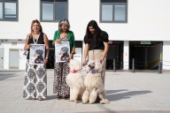 Más de 70 razas se citan el domingo en el II Concurso Nacional Canino de Benalmádena