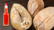 Por qué hay que colocar los carozos de palta en un vaso con vinagre: ¿qué significa?