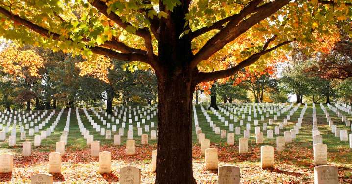 No ‘disgraced’ vets buried in ‘hallowed grounds’: Senators push for expanded VA disinter powers at national cemeteries