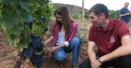 El sector vitivinícola, clave para un territorio rural “vivo”