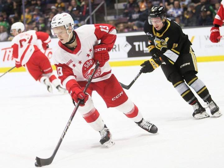 Soo Greyhounds versus Sarnia Sting: live blog