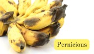 Today’s word of the day for Sept. 25, 2025 is 'pernicious'