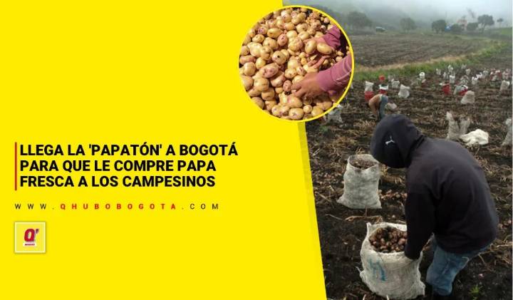 Llega la 'Papatón' a Bogotá para que le compre papa fresca a los campesinos