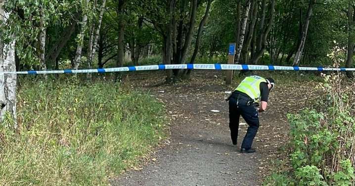 Woods next to Scots high school cordoned off following sexual assault