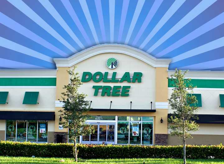7 Best Dollar Tree Home Finds to Grab Before the End of September