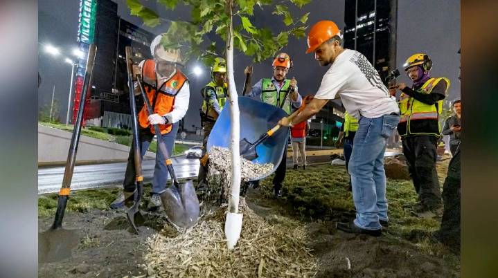 Realizan reforestación nocturna en el Centro de Monterrey