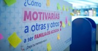 De parejas homoparentales a matriarcado: los rostros de quienes acogen a los casi 10 mil niños al cuidado del Estado