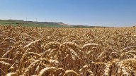 La importancia de las cooperativas en la agricultura aragonesa