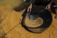 Cazados en la selva: Impactante red de minería ilegal desmantelada en el Amazonas