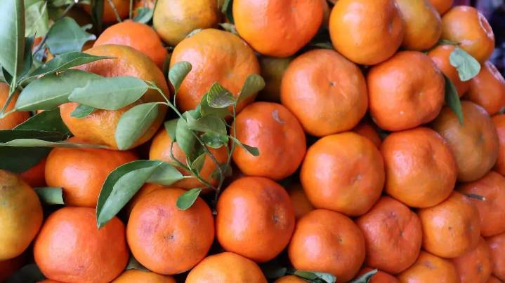 ¡Llegaron las mandarinas! Esto cuestan en el mercado Adolfo López Mateos