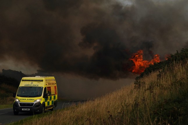 Over 1,100 died in UK this summer from heat driven by climate change