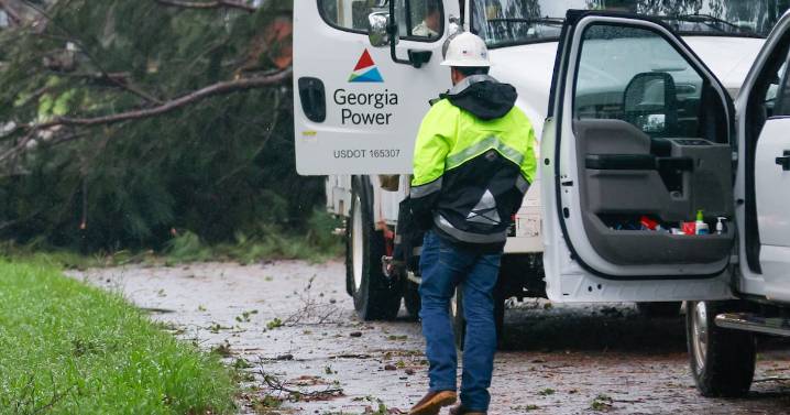 Georgia energy stays reliable and affordable thanks to constructive policies